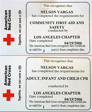 American Lifeguard Association Vs Red Cross